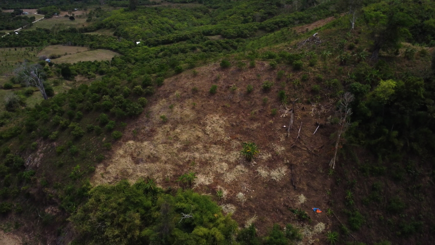 Dry burned patch of land for deforestation process in South Vietnam, Phuoc Bingh National Park