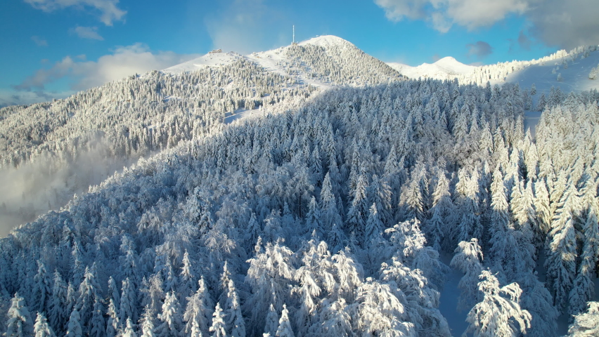 AERIAL: Beautiful fresh snow-covered mountains and spruce forest on a sunny day. Breath-taking alpine landscape with white blanket of snow, bathing in winter sunlight. Winter wonderland in mountains. Royalty-Free Stock Footage #1096538051