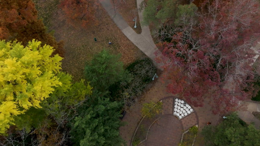 Beaumont Tower at Michigan State University Autumn Reveal