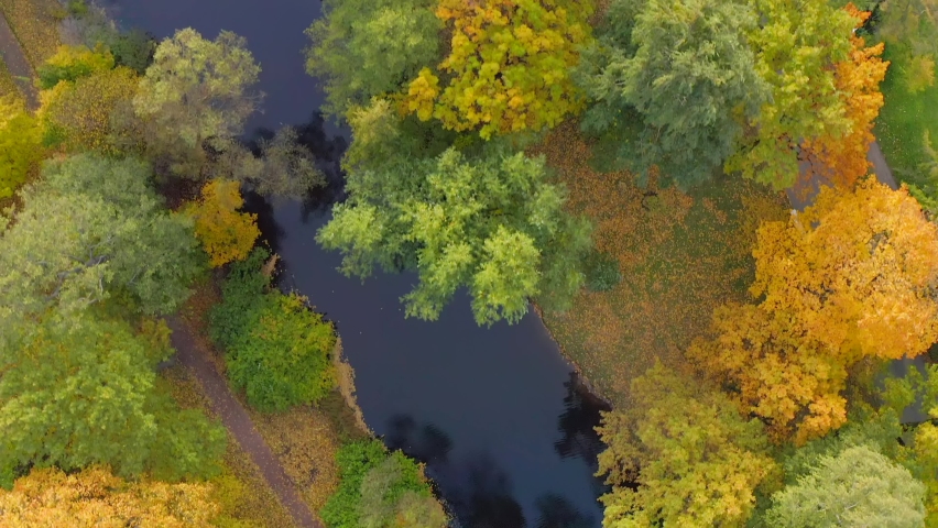 Top view of trees of different species with very beautiful flowers of yellow hues. Fly directly by copter through a park with a pond and trees in autumn.