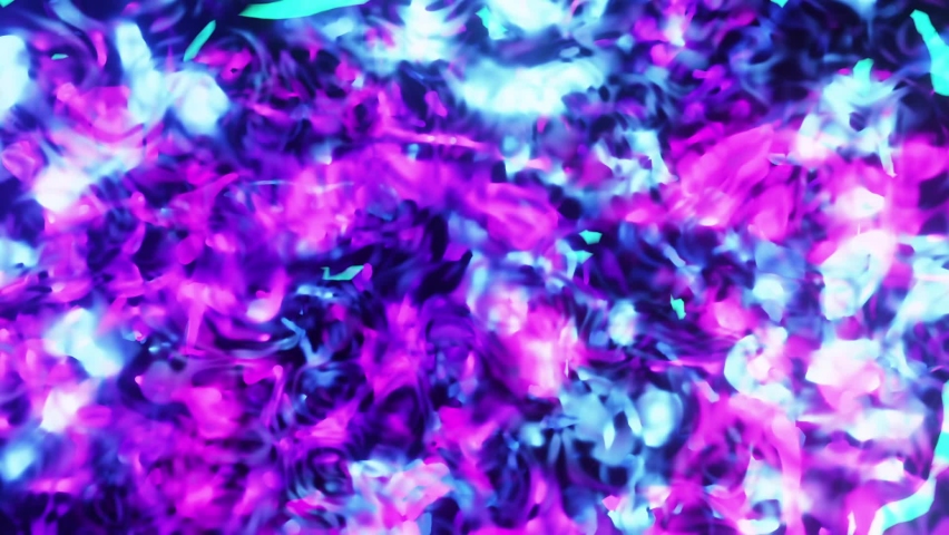 Shutterstock video thumbnail