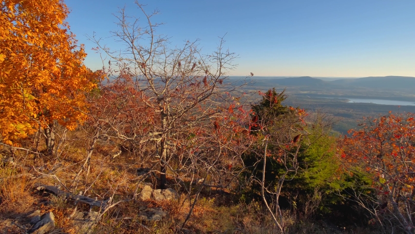 Mount Magazine State Park Arkansas during Sunset Fall Foliage Autumn Colors