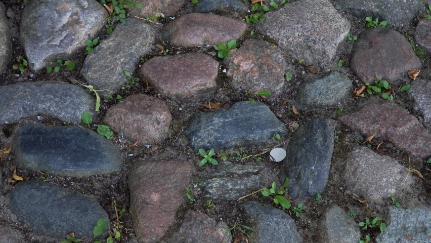 Type of ancient cobblestone pavement cover on the ground in a close-up view. An example of the use of stones in paving paths and squares.