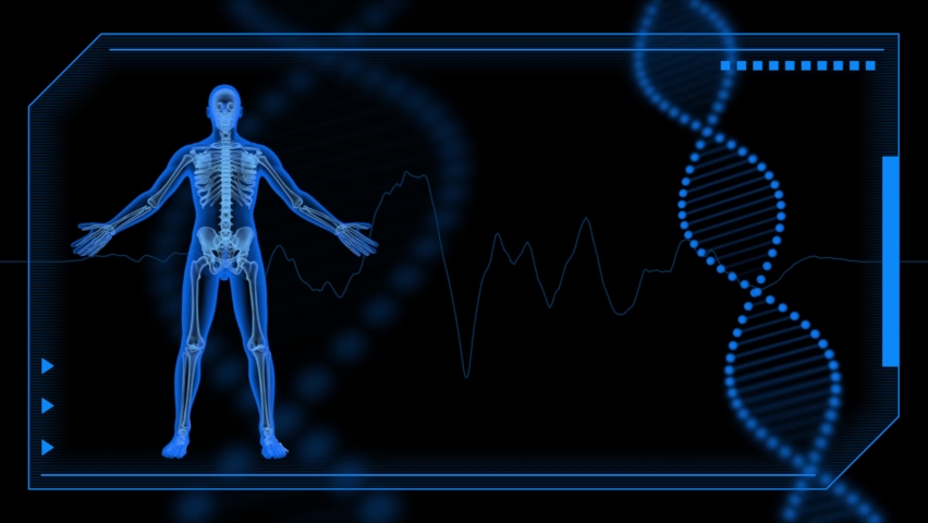 3d human body wallpaper , X-ray bones, DNA man rotating animation render background  Royalty-Free Stock Footage #1096585123