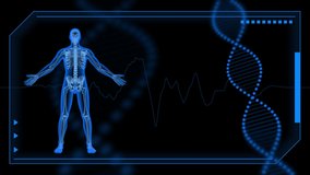 3d human body wallpaper , X-ray bones, DNA man rotating animation render background  - Powered by Shutterstock - Get 15% off with code: PIKWIZARD15