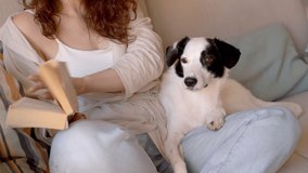 Woman in blue jeans sitting on sofa in living room holding reading the book and petting adorable young black and white Border Collie dog. Weekend time for hobby and pet. Relaxed video footage