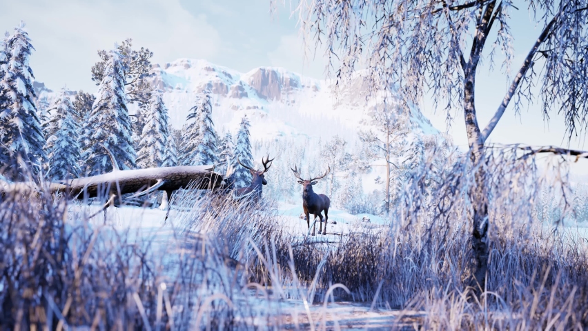 Winter Nature Red Deer buck Environement 3D Renderings Animations CGI 4K Royalty-Free Stock Footage #1096605223