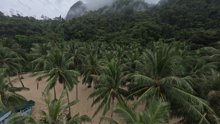 Exotic green dense forest with palm trees and fog mountain island landscape dramatic sky aerial view. FPV sports drone shot picturesque rainforest Asian tropical woodland on cliff rock over sea beach Royalty-Free Stock Footage #1096617053