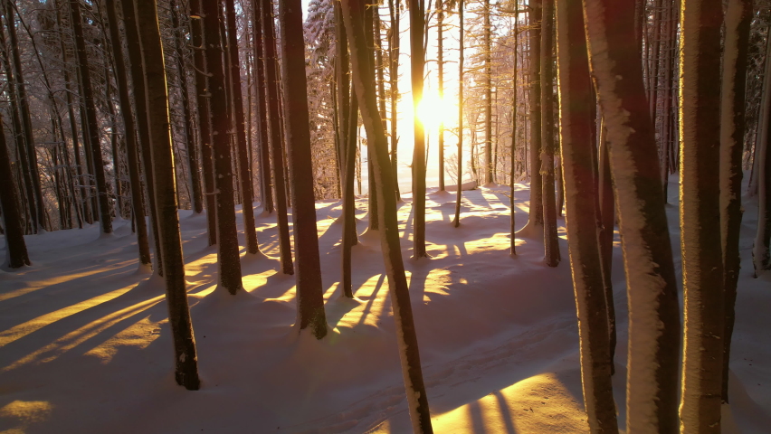Winter sunbeams shining through forest trees covered with freshly fallen snow. Winter fairy tale in snowy alpine woodland. Backlit tree trunks casting beautiful shadows across the fresh snow cover. Royalty-Free Stock Footage #1096622605