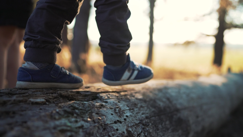 Little boy walk on log in park. child on log.Child in forest park walk in nature. Legs on log summer walk.Teamwork of children in forest park.Boy child in nature at sunset. Active recreation in forest Royalty-Free Stock Footage #1096672285