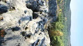 VERTICAL VIDEO, Limestone rocks in the highlands, autumn forest, sunny autumn day