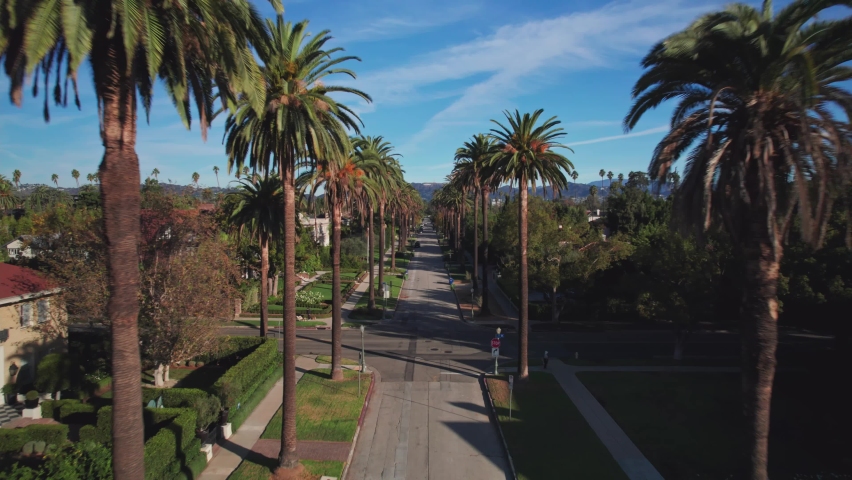 Палм стрит. Монако бульвар Монте. Сьерра Бланка Марбелья. Boulevard du Larvotto лифт.