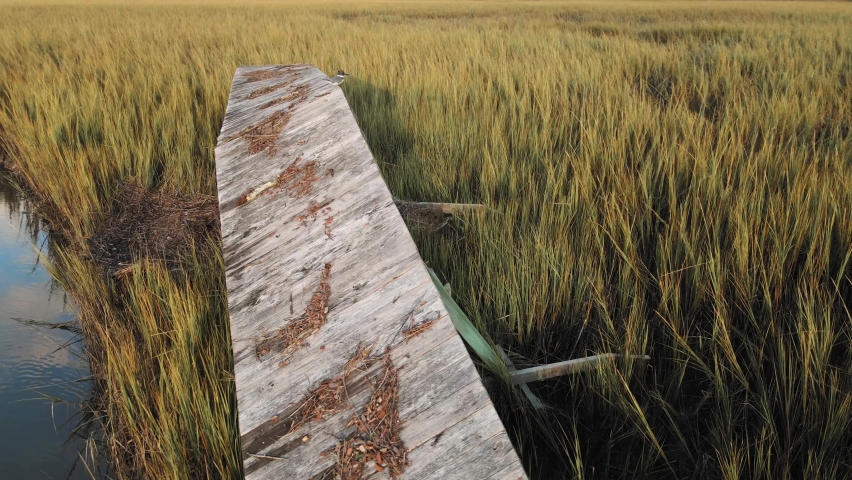 Wreckage of a dock at Pawleys Island inlet with bird sitting. Orbit at sunset.
