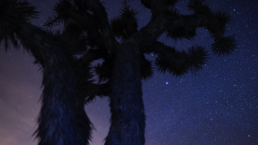 Startrails Joshua Tree Tilt Up Red Rock Canyon Mojave Desert California USA California USA Astrophotography Time Lapse
