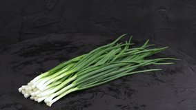 Bunch of green onions on a black background. Side view. 4K UHD video footage 3840X2160.