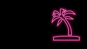 Glowing neon line Tropical palm tree icon isolated on black background. Coconut palm tree. 4K Video motion graphic animation. - Powered by Shutterstock - Get 15% off with code: PIKWIZARD15