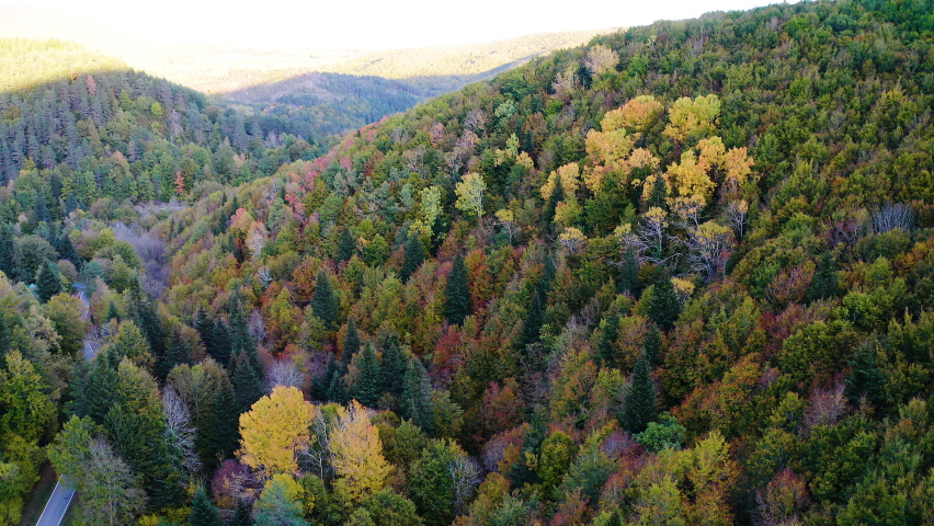 Aerial view of colores beech forest during the aurumn over the hills of Selva de Irati, Spain.
