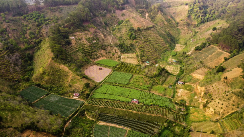 Lush agriculture valley with tomatoes, coffee and other crops growing. Aerial