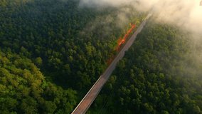 Drone flying above the fog at sunrise, cars driving on highway road in green forest. Chiang Mai Province, Northern Thailand. Travel, transport and nature concept. green background. 4k aerial video.
