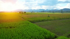 Aerial video of drones flying over rice fields and beautiful landscapes during sunlight (Chiang Mai Province, Thailand). mountains in the background. Fresh green scenery. nature background. 4k
