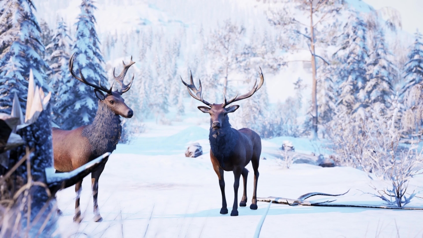 Winter Nature Red Deer buck Background Snow 3D Renderings Animations CGI 4K Royalty-Free Stock Footage #1096715721