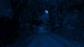 Moon Above Leafy Country Road At Night - Powered by Shutterstock - Get 15% off with code: PIKWIZARD15