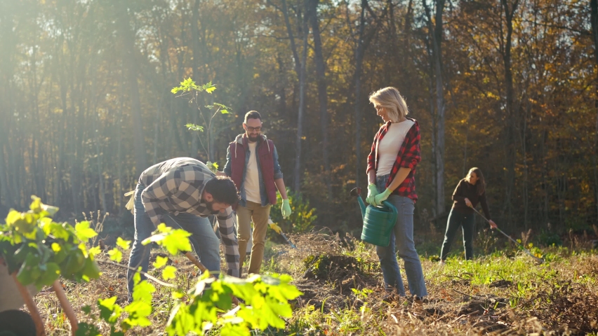 Group of friends planting trees as seedlings in field at forest and interacting for safe nature. Outdoor. Ecological activists plant tree and watering it. Men and women volunteers for green ecology.