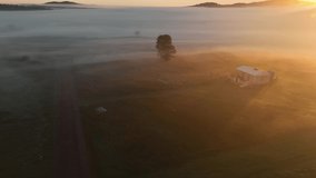 Sunbeams in the Alone Tree and Foggy Morning Drone Video, Sile Istanbul, Turkey