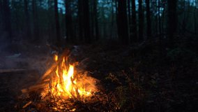 Campfire in the forest. Beautiful landscape of nature and trees. Sparks and flames. Rest by the fire. Camping in the woods. Burning firewood. Evening bonfire. Rain and snow in the forest