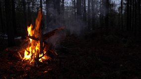 Campfire in the forest. Beautiful landscape of nature and trees. Sparks and flames. Rest by the fire. Camping in the woods. Burning firewood. Evening bonfire. Rain and snow in the forest
