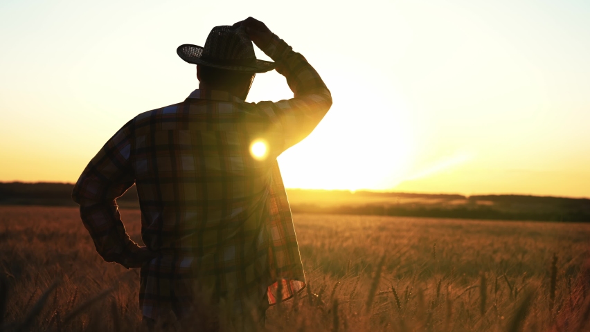Back view young handsome farmer standing in wheat field with hands on hips, looking in forward at sunset. Portrait silhouette man at outdoors nature landscape with growing production. Food industry. Royalty-Free Stock Footage #1096751913