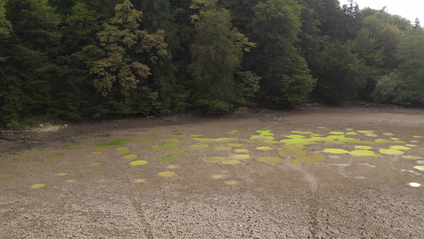 Green forest on the sides of the waterless river, water puddles in dry soil during drought season, handheld shot.