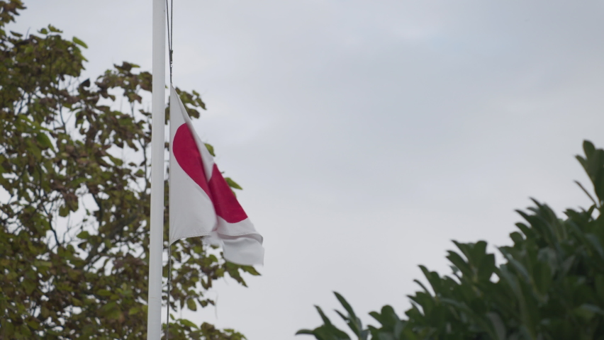 Flag with heart for compassion