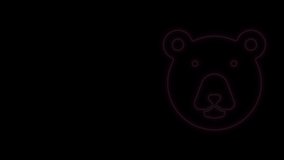 Glowing neon line Bear head icon isolated on black background. 4K Video motion graphic animation.