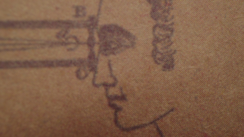 Macro Exteme Close Up of Da Vinci Style Sketch with Paper Texture