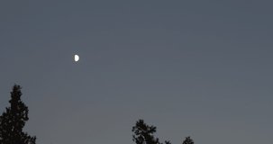 Half moon time lapse. Night sky.