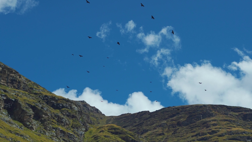 4K shot of birds flying in the blue sky in front of clouds above mountains as seen from Rohtang Pass at Manali in Himachal Pradesh, India. Birds flying high in the sky above the mountains. | Shutterstock HD Video #1096789595