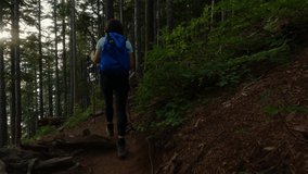 Adventurous Woman Hiker on a hiking trail at top of Canadian Mountain Landscape. St. Mark's Summit near Vancouver, BC, Canada. Slow Motion Cinematic - Powered by Shutterstock - Get 15% off with code: PIKWIZARD15