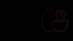 Glowing neon line Little chick in cracked egg icon isolated on black background. 4K Video motion graphic animation.