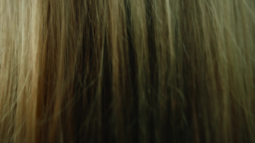 White shirt blond girl walking though the forest during sunset