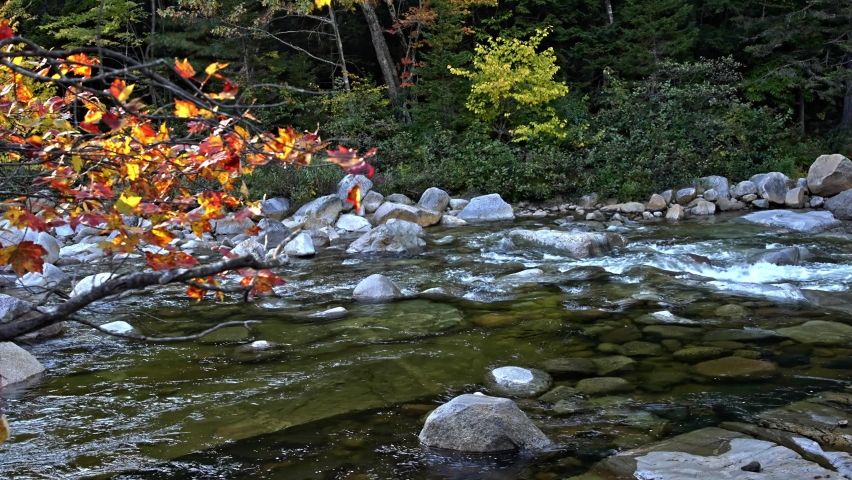 River with autumn colored leaves in White Mountains, New Hampshire