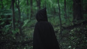 A dark figure in a black hooded robe walks through the mystical forest. Unrecognizable medieval witch. - Powered by Shutterstock - Get 15% off with code: PIKWIZARD15