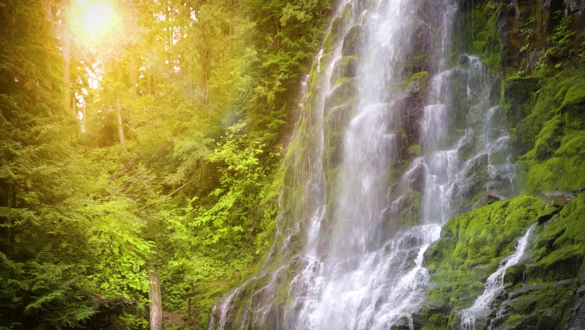 The lush forest and moss at Proxy Falls in Oregon, USA.