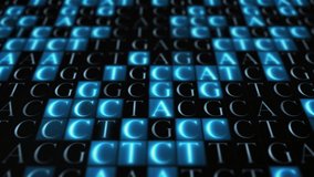 

Abstract Genomic Animation. ATCG the four Bases Found in DNA. Genetic mapping DNA sequence. Biotechnology, Big Data Analysis. - Powered by Shutterstock - Get 15% off with code: PIKWIZARD15