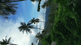 Vertical video - aerial shot camera flies to palm trees, beautiful tropical view of the jungle and mountains. Tropical forest of Koh Samui in Thailand