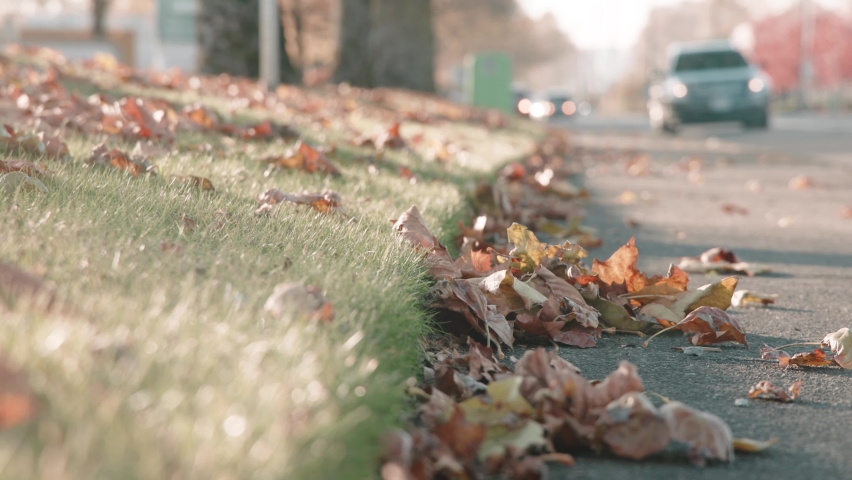 Autumn stock footage video capturing light, colors, and motion.
