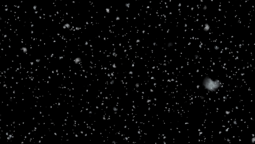 Realistic snowfall overlay, black background - winter, slowly falling snow effect Royalty-Free Stock Footage #1096883415