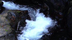 4x slow motion video of mountain stream