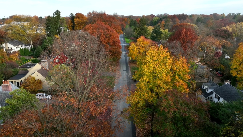 Quiet residential district in American suburbs. Homes in autumn with colorful leaves on trees. Fall foliage aerial view above street.