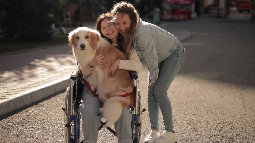 Girl sitting on wheelchair with dog therapist and laughing with friends . two happy diverse multiethnic people spending time outdoors. Canister Therapy, diversity Royalty-Free Stock Footage #1096900559